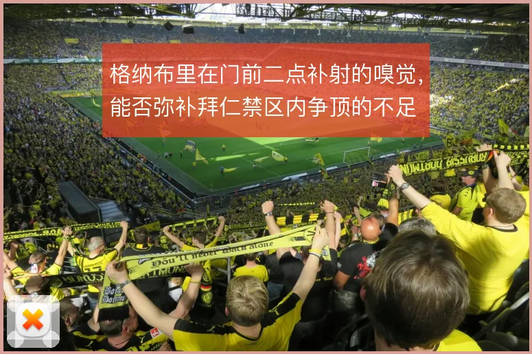 格纳布里在门前二点补射的嗅觉,能否弥补拜仁禁区内争顶的不足