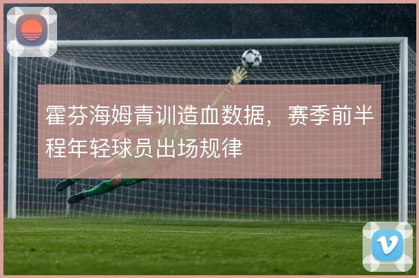 霍芬海姆青训造血数据，赛季前半程年轻球员出场规律