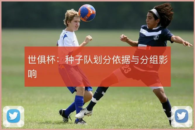 世俱杯：种子队划分依据与分组影响