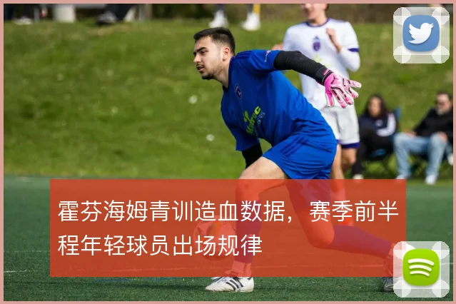 霍芬海姆青训造血数据,赛季前半程年轻球员出场规律