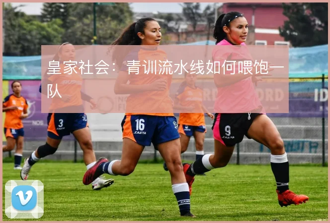 皇家社会:青训流水线如何喂饱一队